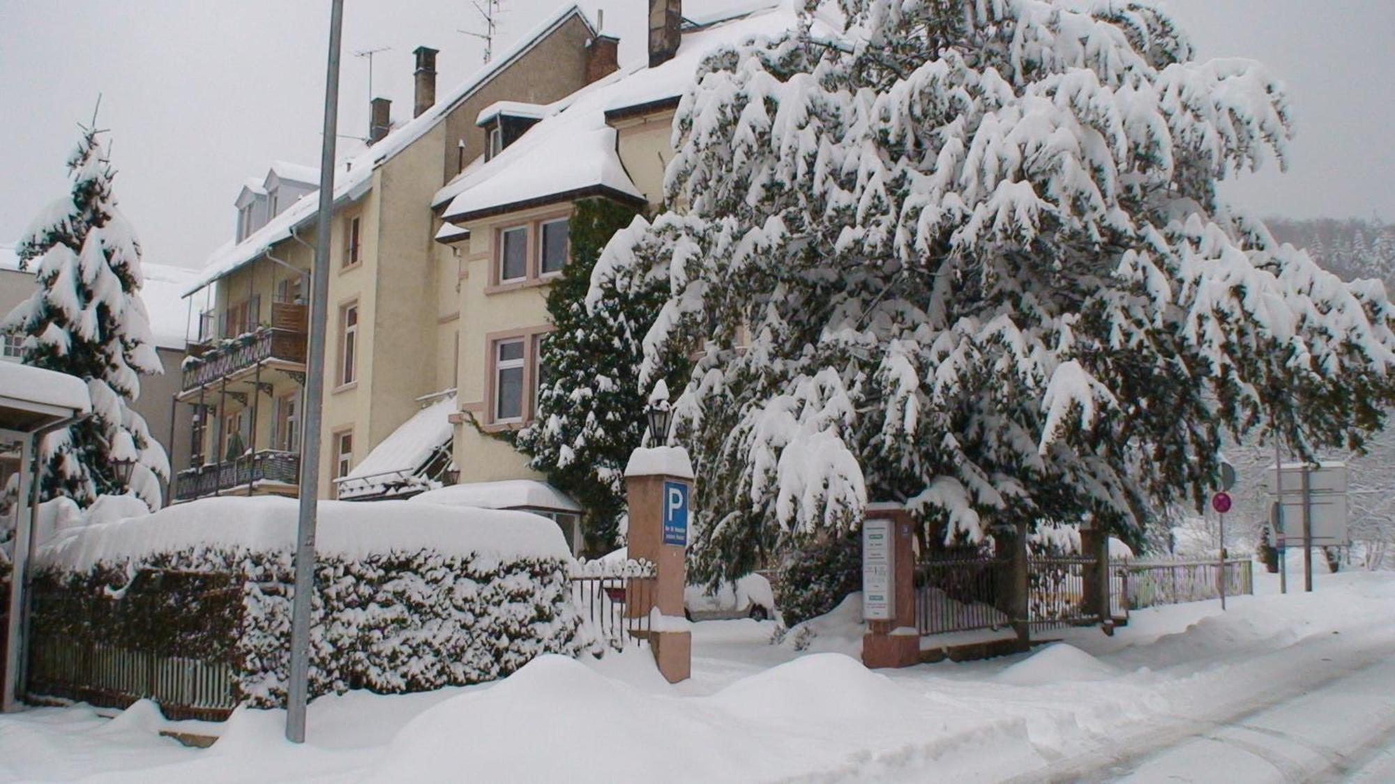 Appartements Am Festspielhaus บาเดน-บาเดน ภายนอก รูปภาพ